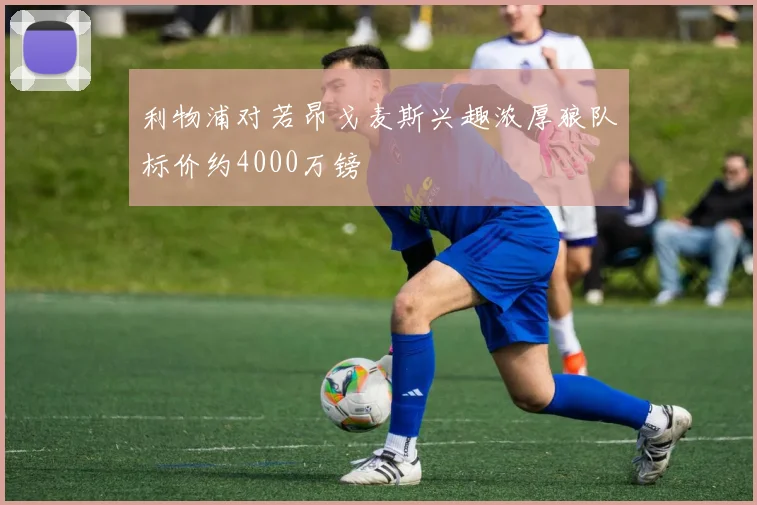 利物浦对若昂戈麦斯兴趣浓厚狼队标价约4000万镑
